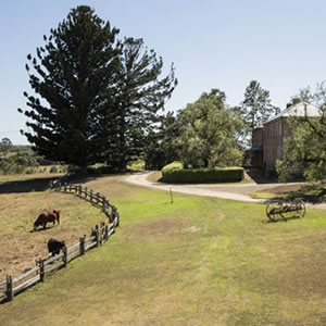 Rouse Hill Estate
